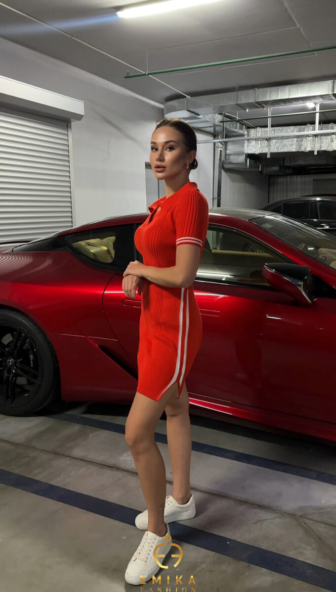Polo Dress